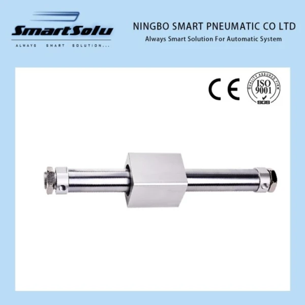 Cylindre d’air pneumatique sans tige CY1