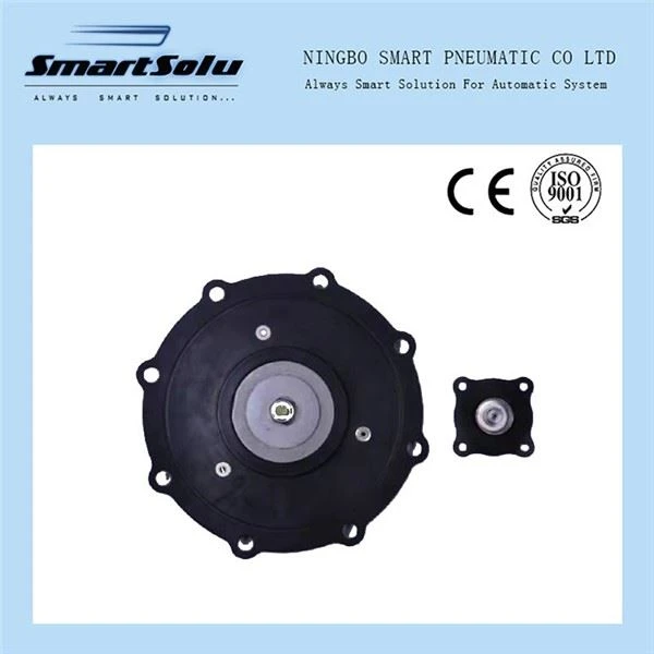 Kits de réparation de diaphragme de valve d'impulsion de solénoïde